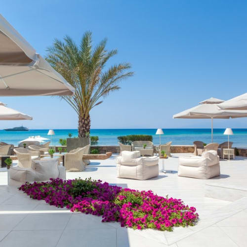 An outdoor terrace at Sani Beach Ammos Restaurant with white furniture, umbrellas, a palm tree, colorful flowers, and a view of the sea.