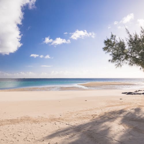 Eine ruhige Strandlandschaft mit weißem Sand, ruhigem türkisfarbenem Wasser und teilweise bewölktem Himmel, mit Bäumen, die Schatten auf den Strand werfen.