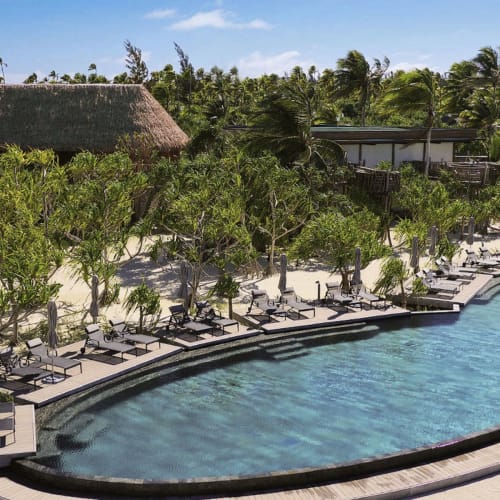Luxushotel-Poolbereich, umgeben von üppigem Grün und Palmen mit Liegestühlen am Rand.