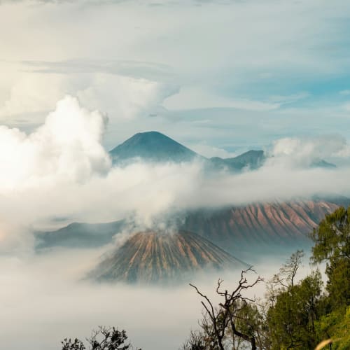A view of the Bromo volcano in Java, with clouds surrounding the mountain and some greenery in the foreground.
