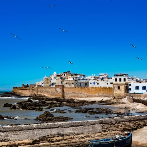 A coastal cityscape with white buildings, a city wall, and boats in the water under a bright blue sky, with seagulls flying overhead.