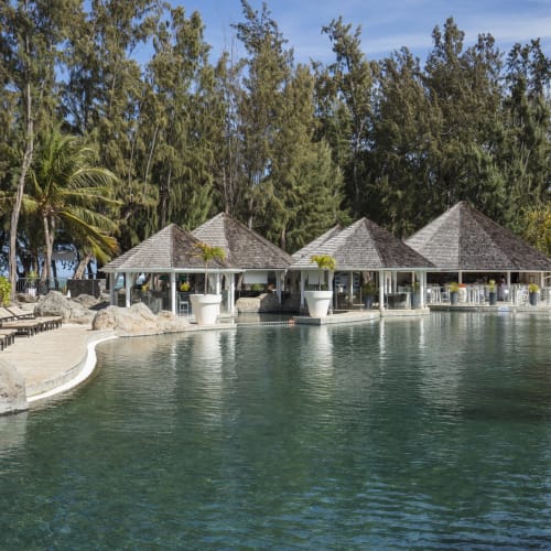 Ein großer Außenpool mit schwimmenden Pavillons mit Strohdach und Liegestühlen am Beckenrand, umgeben von hohen Bäumen unter einem blauen Himmel.