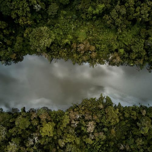 An aerial view of a river flowing through dense jungle with lush green trees on both sides.