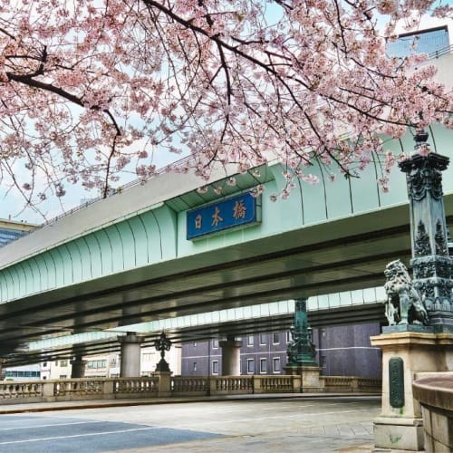 Eine Brücke mit dekorativen Säulen unter einem rosa Kirschbaum in Tokio, Japan.