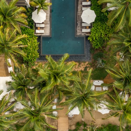 Luftaufnahme eines tropischen Resort-Pools, umgeben von Palmen, Liegestühlen und Sonnenschirmen, mit Holzstegen, die verschiedene Bereiche verbinden.