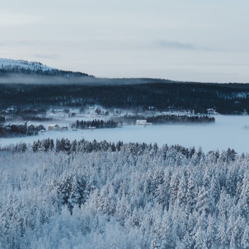 Snow-covered forest in a mountainous region with low clouds or fog settled in the valley below, creating a serene winter landscape.