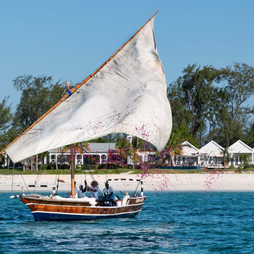 Ein traditionelles Holzseyboot mit einem großen weißen Segel, das über das blaue Wasser gleitet, mit einem tropischen Strand und Bäumen im Hintergrund.