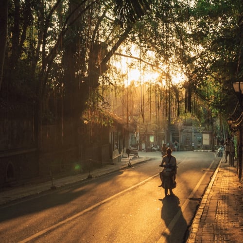 Eine Person, die auf einem ruhigen Straßenabschnitt bei Sonnenuntergang in Ubud, Bali, mit einem Roller fährt, umgeben von Bäumen und langen Schatten.