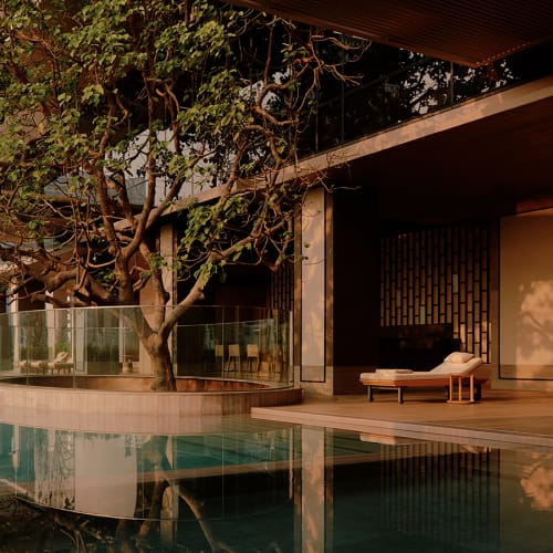 Ein modernes Haus mit einem Swimmingpool und einem großen Baum im Garten bei Sonnenuntergang.