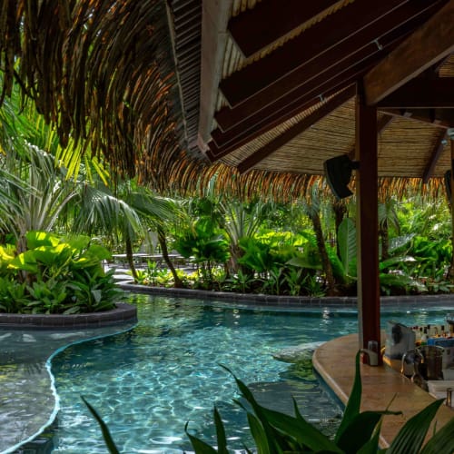 Lush tropical surroundings with a relaxing swimming pool and poolside bar under a thatched roof at a resort in Costa Rica.
