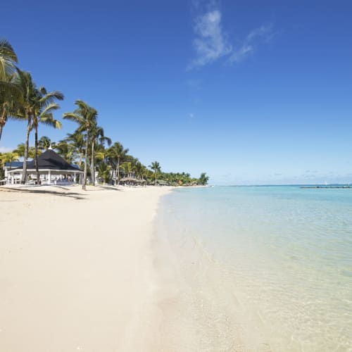 Ein ruhiger tropischer Strand mit weißem Sand, sanften Wellen und Palmen, die den Strand säumen unter einem klaren blauen Himmel.