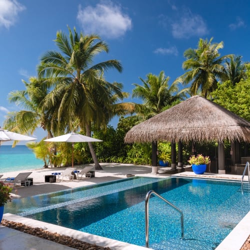 Eine ruhige private Insel mit einem blauen Schwimmbecken mit Metallgeländern, umgeben von Palmen, Liegestühlen unter weißen Sonnenschirmen und einem Poolhaus mit Strohdach und einem blauen Blumentopf auf der Terrasse.