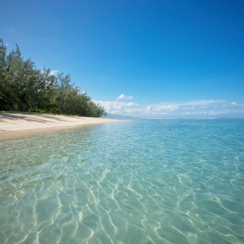 Clear turquoise water along a sandy beach bordered by lush green trees under a bright blue sky at La Réunion.