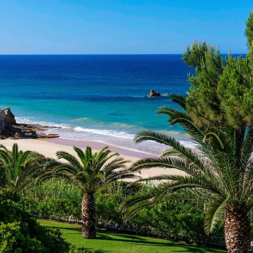 A scenic view of a beach with clear blue water, surrounded by lush green trees and palm trees.