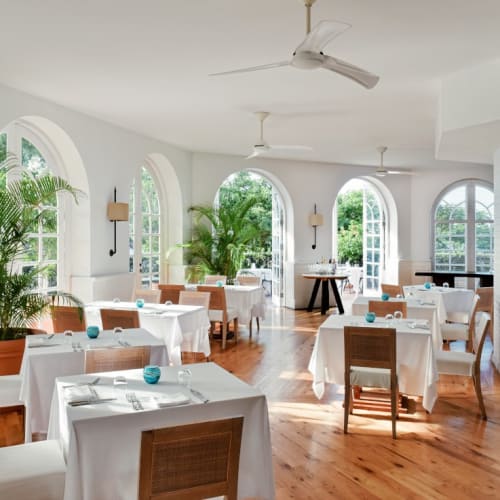 Elegant restaurant interior with white tablecloths, wooden chairs, large windows, and green plants in a bright room.
