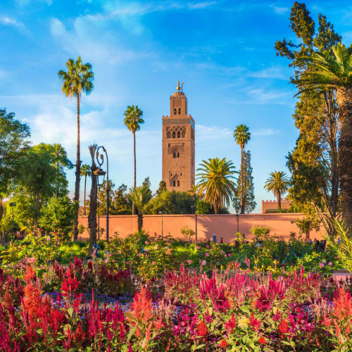 Üppiger Garten mit bunten Blumen und hohen Palmen vor dem Turm der Koutoubia-Moschee in Marrakesh.