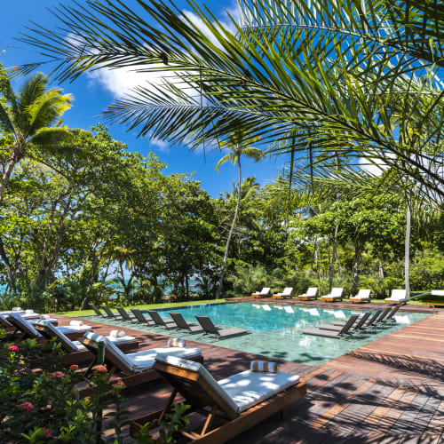 A luxurious swimming pool surrounded by lush tropical trees and greenery at Tivoli Eco Resort in Brazil.