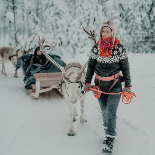 Eine Person in Winterkleidung führt ein Rentier an, das an einen Holzschlitten gespannt ist, auf dem eine weitere Person sitzt, in einer verschneiten Waldlandschaft.