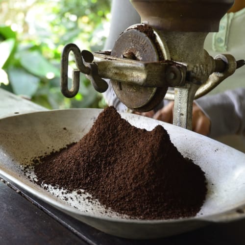 Coffee grounds being freshly ground using a manual coffee grinder with greenery in the background