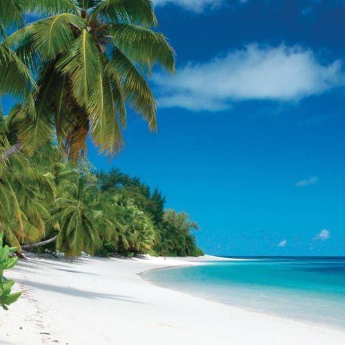 Tropischer Strand mit weißem Sand, klarem türkisfarbenem Wasser und üppigen Palmen unter strahlend blauem Himmel.
