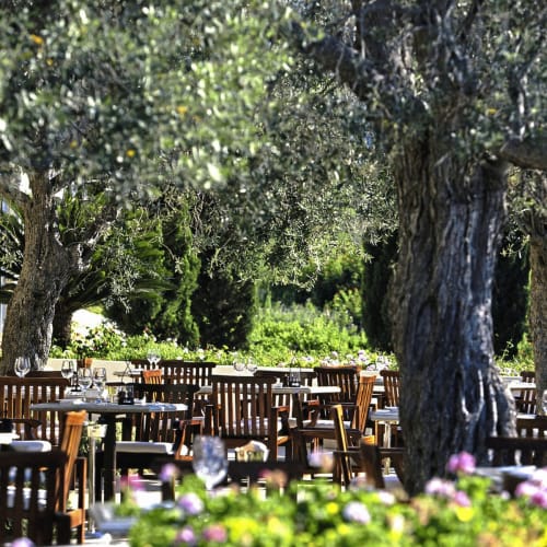 Outdoor restaurant seating area shaded by large trees with wooden tables and chairs on a sunny day.