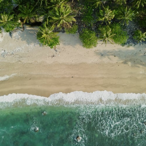 Aerial view of a tropical beach with turquoise water, white waves, sandy shore, and lush green palm trees along the coastline.