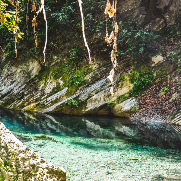 Klares türkisfarbenes Wasser, das durch felsige Klippen in der Sierra Gorda de Queretaro fließt, mit einigen hängenden trockenen Ästen und grüner Vegetation.