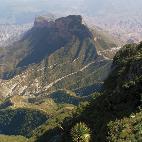 Gebirgslandschaft der Sierra Gorda in Querétaro mit zerklüfteten Gipfeln, steilen Hängen und verstreuter grüner Vegetation unter einem teilweise bewölkten Himmel.