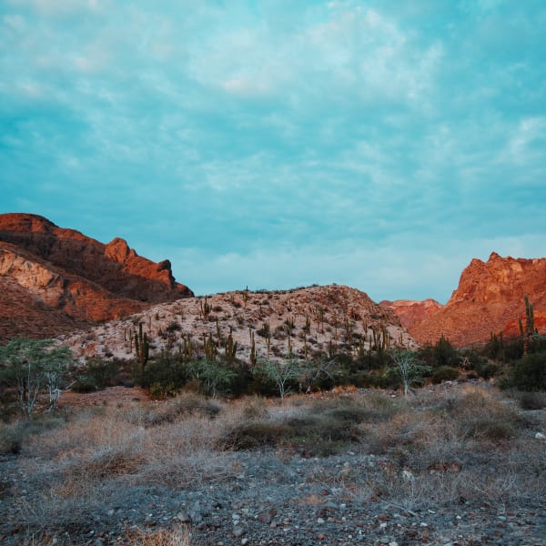 Felsige Wüstenlandschaft mit niedriger Vegetation und Bergen unter bewölktem Himmel in La Paz, Mexiko.