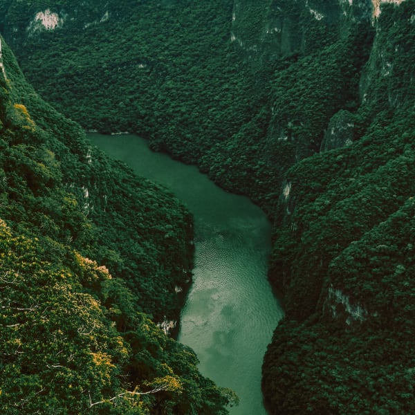 Üppiger grüner Sumidero-Canyon mit einem mäandrierenden Fluss, der zwischen steilen, bewaldeten Klippen in Chiapas, Mexiko, fließt.