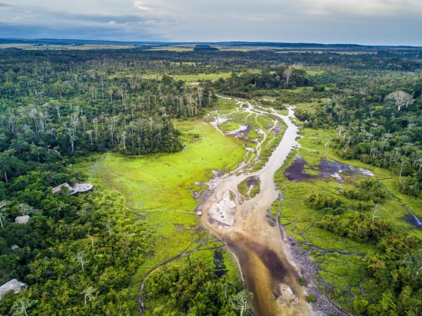 Aerial view of a lush, green river flowing through a dense rainforest in Odzala, Republic of Congo.