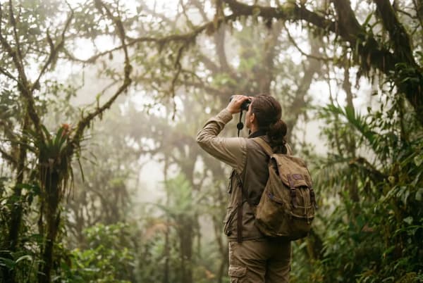 Vogelbeobachterin mit Fernglas im kolumbianischen Nebelwald bei Morgenlicht