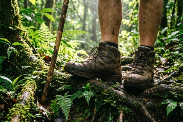 Nahaufnahme von schlammigen Wanderschuhen an den Füßen eines Wanderers, der auf moosbedecktem Waldboden neben einem hölzernen Wanderstock in einem üppigen, grünen Regenwald steht.