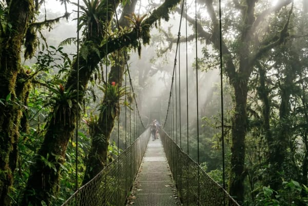 Eine neblige Hängebrücke im üppigen Monteverde-Nebelwald mit zwei Personen, die in der Ferne gehen, umgeben von dichter tropischer Vegetation.