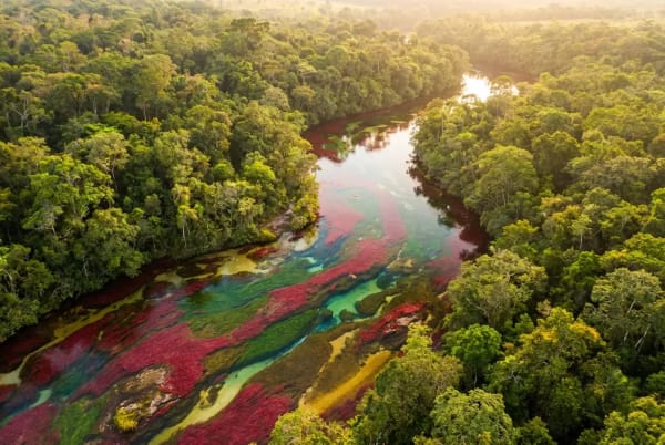 Caño Cristales aus der Luft — mehrfarbiger Flusslauf mit roten, grünen und blauen Zonen im tropischen Wald