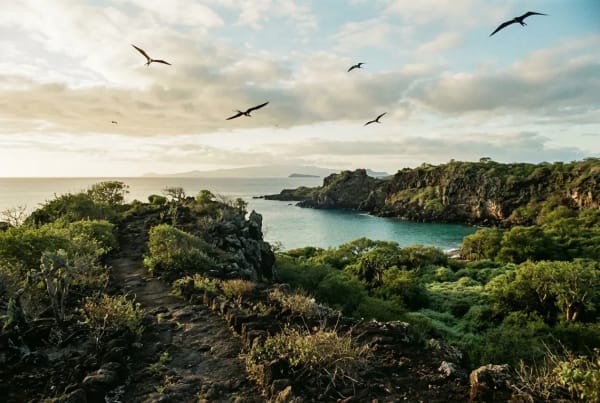 Cerro Tijeretas Aussichtspunkt und Darwins erster Landeplatz auf San Cristobal, Galapagos-Inseln
