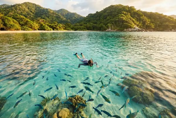 Schnorchler in geschuetzter Bucht des Tayrona-Nationalparks mit Korallen und tropischen Fischen — Schnorcheln Kolumbien