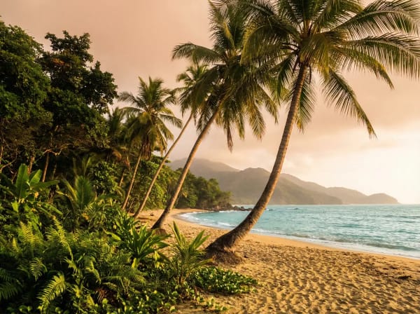 Palmenstrand am Rand des tropischen Regenwalds im Tayrona Nationalpark