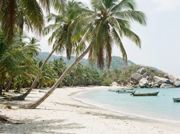 Palmengesaeumter Karibikstrand im Tayrona-Nationalpark mit tuerkisblauem Wasser — Kolumbien Nationalparks