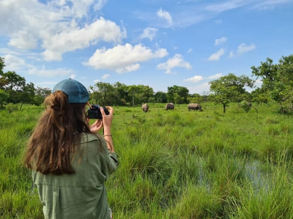 A woman with long hair wearing a green shirt and blue cap takes a photo of buffaloes grazing in a lush green field with trees and a blue sky in the background.