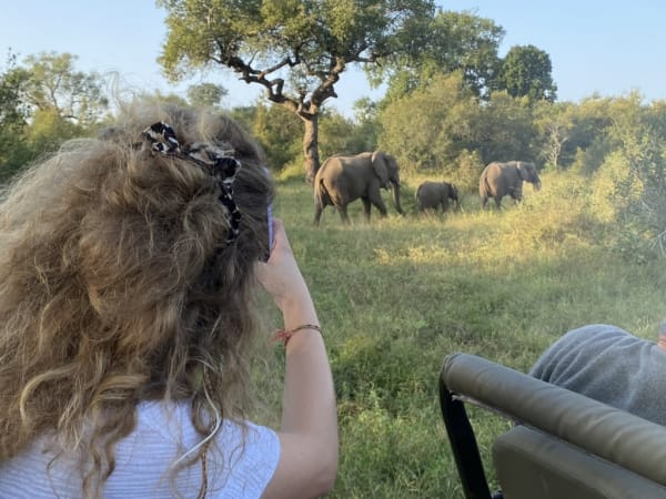 Ein junges Mädchen mit lockigem Haar macht ein Foto von Elefanten in einer grasbewachsenen Landschaft.