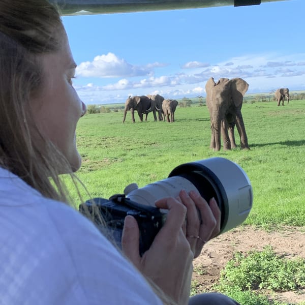 Eine Frau macht ein Foto von Elefanten, die auf einer grünen Wiese grasen, durch ein Fenster.