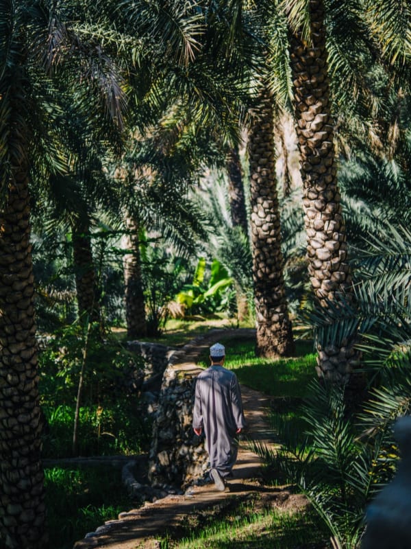 Omani spaziert durch Palmenoase