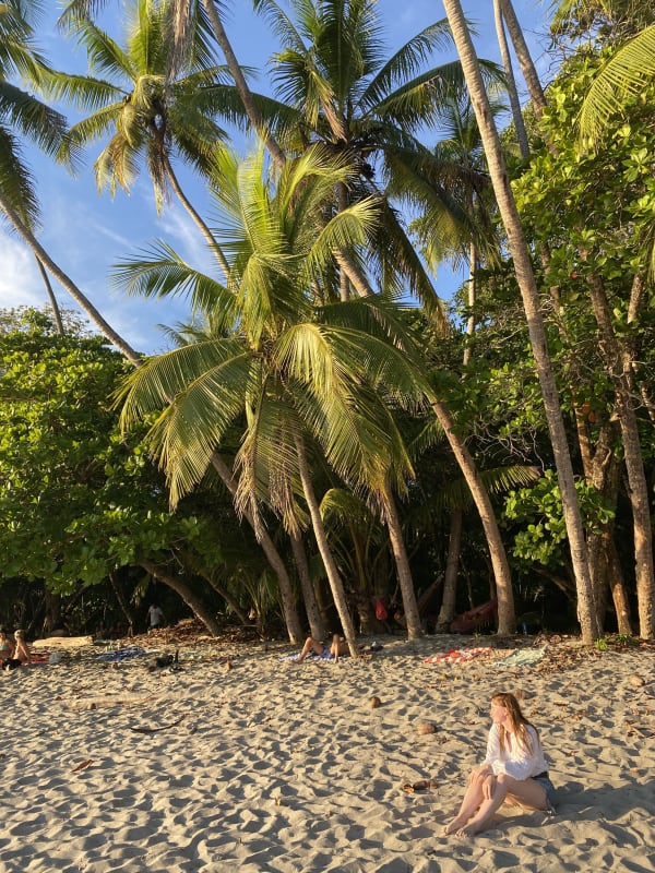 Eine Frau sitzt am sandigen Strand nahe hoher Palmen mit dichtem tropischen Grün im Hintergrund unter einem klaren blauen Himmel.
