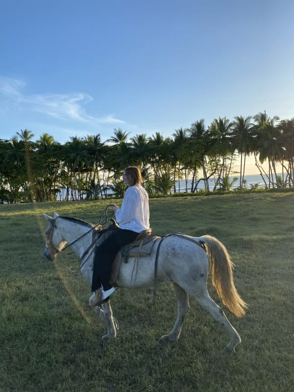 Person in weißem Oberteil reitet bei Sonnenuntergang auf einem weißen Pferd auf einer grünen Wiese mit Palmen und Meer im Hintergrund.