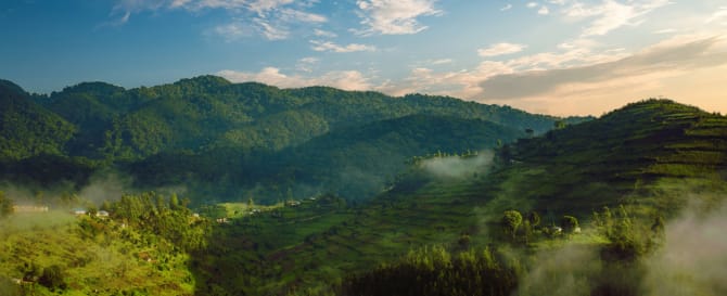 Aussicht auf den Bwindi Nationalpark