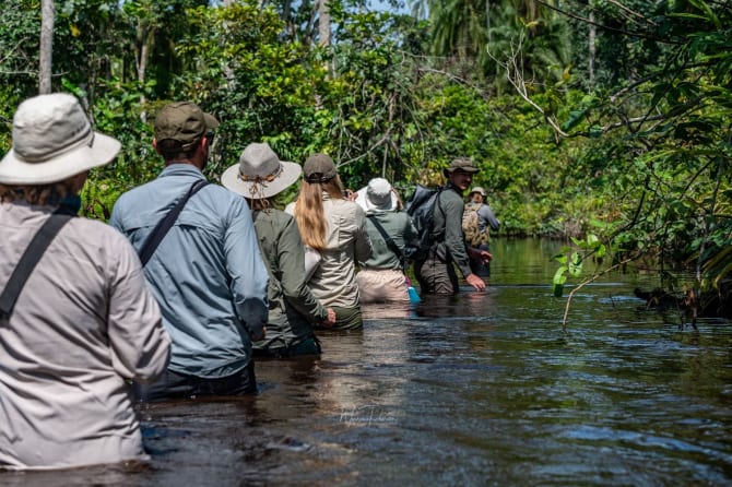 Personen laufen durch einen hüfthohen Fluss und beobachten die Natur