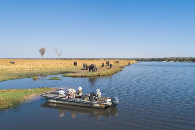 People watching elephants during a boat trip