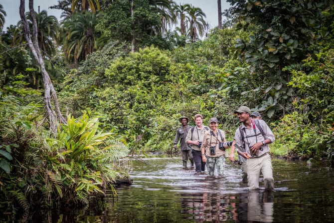 Leute wandern durch einen kniehohen Fluss und sind umgeben von Regenwald