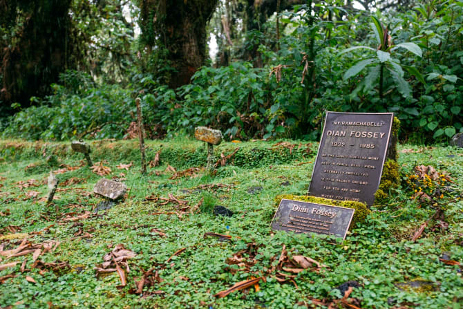 Der Grabstein von Dian Fossey und einige Gräber gestorbener Berggorillas